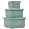 Kikkaboo Σετ μπολάκια από Σιλικόνη 3 τεμαχίων Platinum Silicone Sage (31302050009)