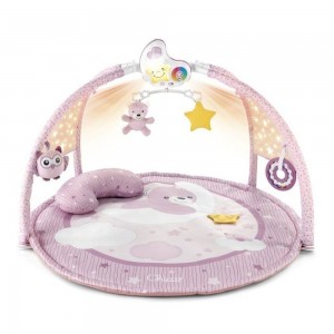 Chicco Γυμναστήριο Χαρούμενα Χρώματα Ροζ (Y01-09866-10) Chicco Γυμναστήριο Χαρούμενα Χρώματα Ροζ (Y01-09866-10)