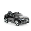 Cangaroo BO Audi Sportback painting black (3800146214760)