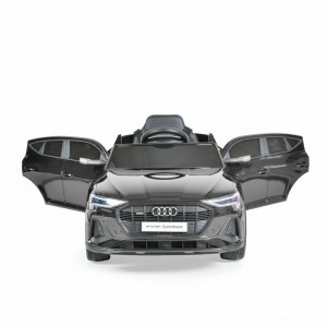Cangaroo BO Audi Sportback painting black (3800146214760) Cangaroo BO Audi Sportback painting black (3800146214760)