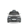 Cangaroo BO Audi Sportback painting black (3800146214760)