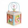 Moni Toys Wooden activity cube 1003 5 pcs (3800146222994)