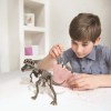 4M Toys Ο Κόσμος των Δεινοσαύρων (4M0612)