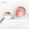 Zazu Φοίβη Πιγκουίνος Ύπνου με Λευκούς Ήχους Εγγραφή & Φώς Νυκτός (ZA-PHOEBE-01)