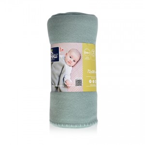 Lorelli Bertoni Κουβέρτα Αγκαλιάς και Λίκνου Polar Fleece Blanket Mint (10340020009) Lorelli Bertoni Κουβέρτα Αγκαλιάς και Λίκνου Polar Fleece Blanket Mint (10340020009)