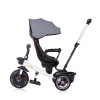 Chipolino Τρίκυκλο Ποδήλατο Pegas Platinum (TRKPEG02202PL)