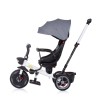Chipolino Τρίκυκλο Ποδήλατο Pegas Platinum (TRKPEG02202PL)