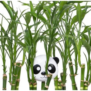 Melii – Δοχείο για σνακ Panda (MEL10100) Melii – Δοχείο για σνακ Panda (MEL10100)