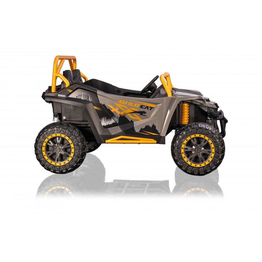 Kikkaboo Ηλεκτροκίνητο αυτοκίνητο Licensed Arctic Cat Γκρι 24V (31006050456) Kikkaboo Ηλεκτροκίνητο αυτοκίνητο Licensed Arctic Cat Γκρι 24V (31006050456)