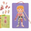 Tooky Toys Εκπαιδευτικός Μαγνητικός Πίνακας Body Magnetic Chart TH842 (6972633372301)