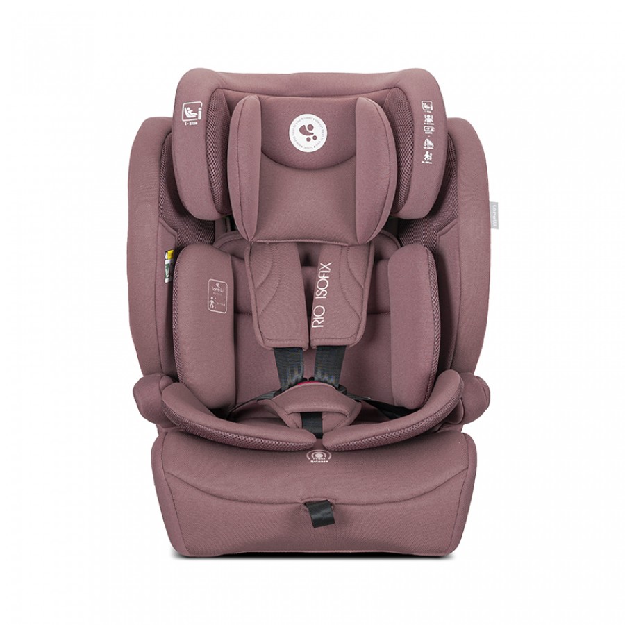 Lorelli Κάθισμα Αυτοκινήτου Rio i-Size 76-150cm Isofix Pink (10071962606)