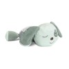 Lorelli Night Light Φωτιστικό Νυκτός Προτζέκτορας με Χρώματα & Μουσική -Dog (10280140008) Lorelli Night Light Φωτιστικό Νυκτός Προτζέκτορας με Χρώματα & Μουσική -Dog (10280140008)