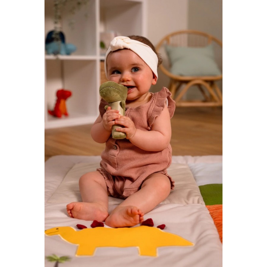 Baby to Love Βελούδινη Squeaker Κουδουνίστρα Dino (BTL305017)