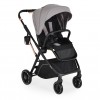 Moni Baby stroller Bingo 2 in 1 Steel (3801005100132)