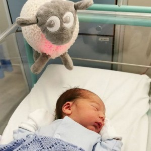 Ewan το προβατάκι DELUXE: Επαναφορτιζόμενο Βοήθημα Ύπνου με αισθητήρα κλάματος και φως- Γκρι (EW821252) Ewan το προβατάκι DELUXE: Επαναφορτιζόμενο Βοήθημα Ύπνου με αισθητήρα κλάματος και φως- Γκρι (EW821252)