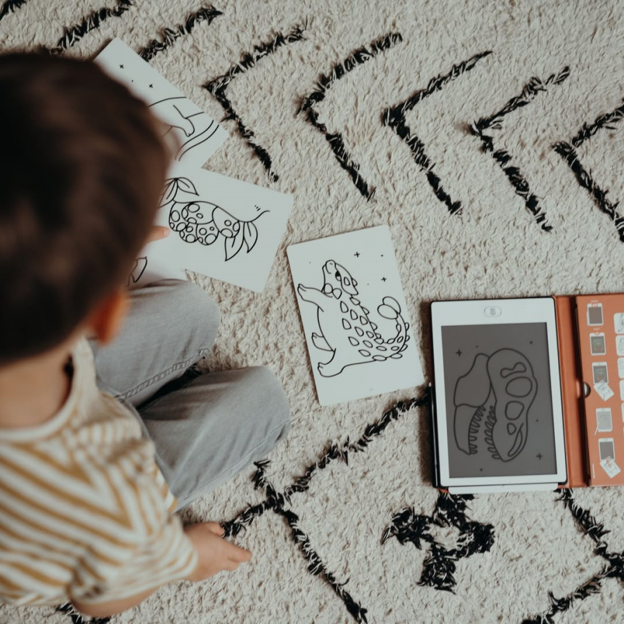 Kidywolf Tablet ζωγραφικής με οθόνη LCD (30 κάρτες) - Dinosaurs (KDW-181467) Kidywolf Tablet ζωγραφικής με οθόνη LCD (30 κάρτες) - Dinosaurs (KDW-181467)