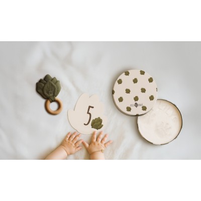 Petit Artichaut  Birth Gift Set (PA2509)