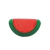 Μασητικό οδοντοφυΐας με νερό Watermelon (103649)