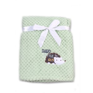 Cangaroo Κουβέρτα Fleece Αγκαλιάς 80x110cm Freya Green (3800146263997) Cangaroo Κουβέρτα Fleece Αγκαλιάς 80x110cm Freya Green (3800146263997)