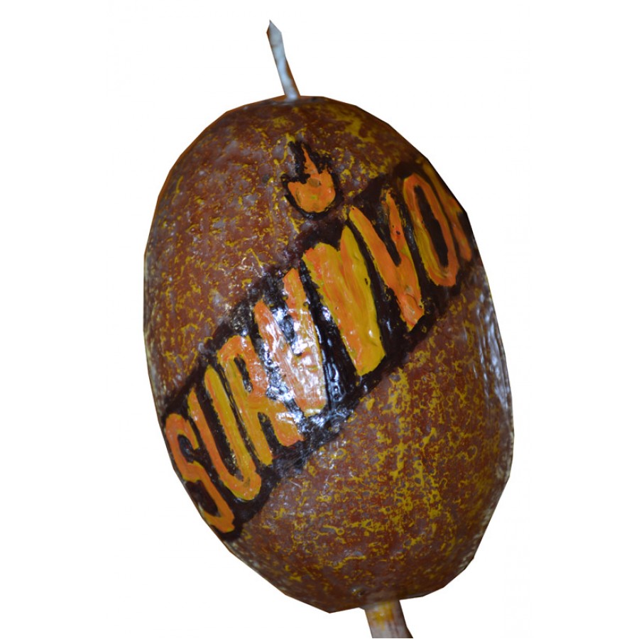 ΛΑΜΠΑΔΑ SURVIVOR 2026 (Κ3011)