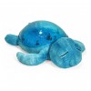 Cloud B – Tranquil Turtle Aqua (CLB7423-AQ)