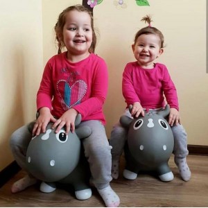 KidZZfarm: Bella the cow Grey (KMC150509) KidZZfarm: Bella the cow Grey (KMC150509)