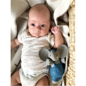 Meiya & Alvin  Μασητικό Παιχνίδι Squeaker Alvin ο Ελεφαντάκος (MA78313) Meiya & Alvin  Μασητικό Παιχνίδι Squeaker Alvin ο Ελεφαντάκος (MA78313)