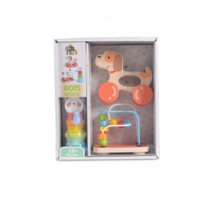 MONI Ξύλινο σετ με 3 εκπαιδευτικά παιχνίδια Wooden toys 2203 set (3800146221645) MONI Ξύλινο σετ με 3 εκπαιδευτικά παιχνίδια Wooden toys 2203 set (3800146221645)
