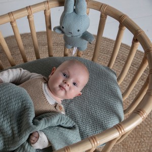 Κρεμαστό Παιχνίδι Με Ήχο Miffy Mint (47-3658) Κρεμαστό Παιχνίδι Με Ήχο Miffy Mint (47-3658)